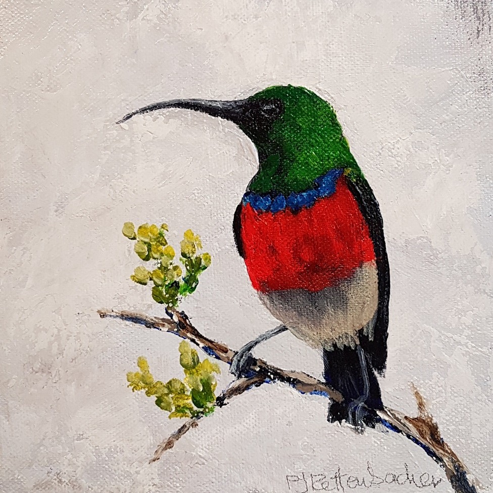 Sunbird 2